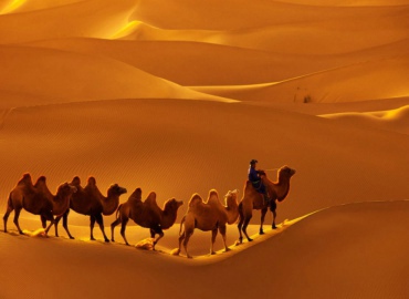 The Great Silk Road